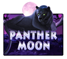 Panther Moon